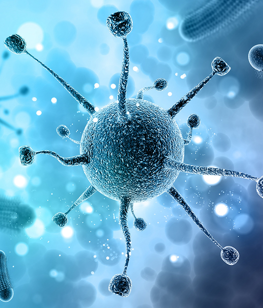 Explore Probiotics